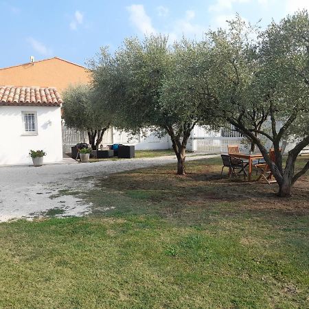 Le Coin Des Oliviers Villa Puget-sur Argens Kültér fotó